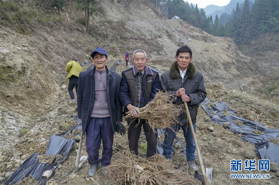 （新春走基層）（6）重慶黔江：土家三老漢 一臺&ldquo;扶貧戲&rdquo;