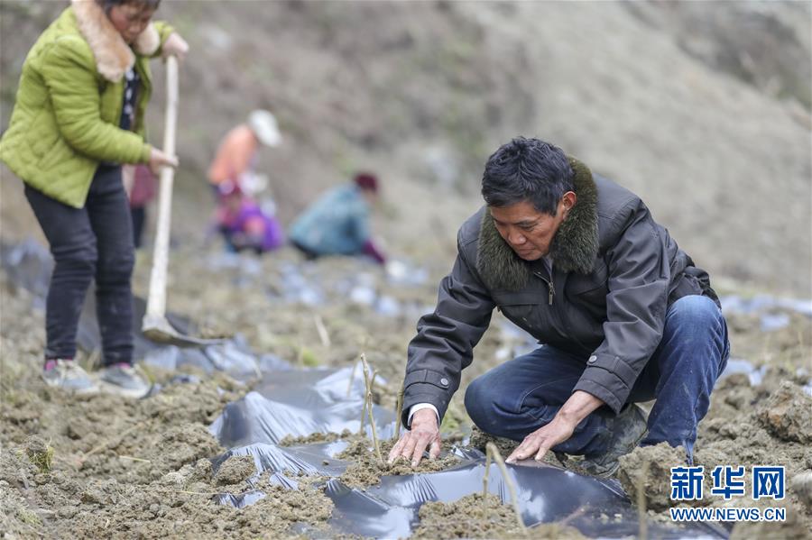 （新春走基層）（12）重慶黔江：土家三老漢 一臺&ldquo;扶貧戲&rdquo;