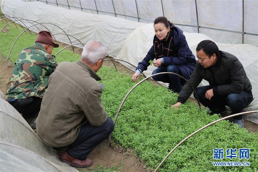 （兩會(huì)前夕看落實(shí)&middot;圖文互動(dòng)）（1）奮力脫貧攻堅(jiān) 生態(tài)追&ldquo;清&rdquo;逐&ldquo;綠&rdquo;&mdash;&mdash;江西落實(shí)習(xí)近平總書記全國兩會(huì)重要講話精神紀(jì)實(shí)