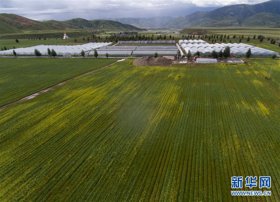 （兩會前夕看落實&middot;圖文互動）（6）&ldquo;飛針走線&rdquo;&ldquo;繡&rdquo;出小康畫卷&mdash;&mdash;四川落實習(xí)近平總書記全國兩會重要講話精神紀實