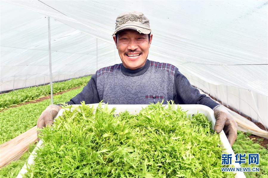 （兩會前夕看落實&middot;圖文互動）（3）融合&ldquo;三生三美&rdquo; 打造鄉(xiāng)村振興齊魯樣板&mdash;&mdash;山東落實習(xí)近平總書記全國兩會重要講話精神紀實