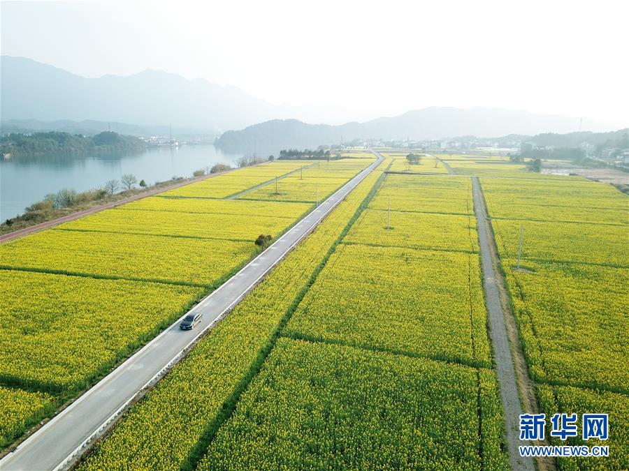 （新華全媒頭條&middot;兩會(huì)精神看落實(shí)&middot;圖文互動(dòng)）（4）保持戰(zhàn)略定力 跨越重要關(guān)口&mdash;&mdash;落實(shí)兩會(huì)精神加強(qiáng)生態(tài)文明建設(shè)述評(píng)