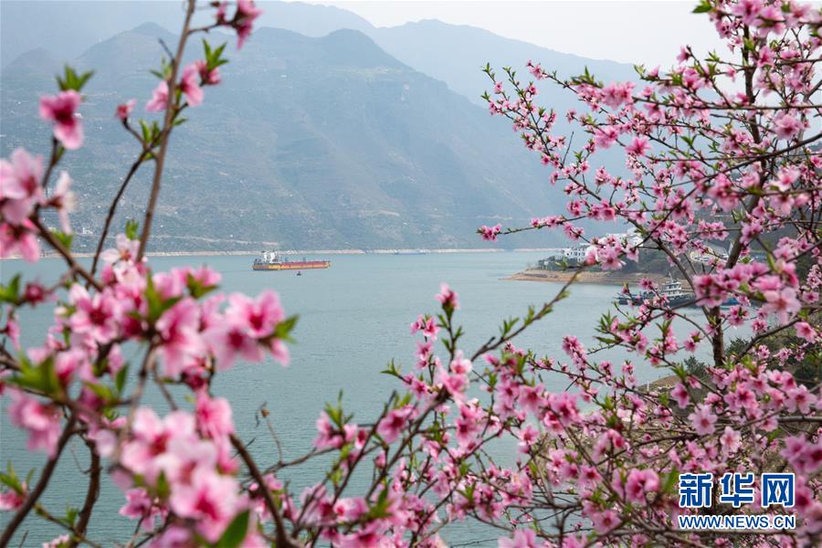 （新華全媒頭條&middot;兩會(huì)精神看落實(shí)&middot;圖文互動(dòng)）（5）保持戰(zhàn)略定力 跨越重要關(guān)口&mdash;&mdash;落實(shí)兩會(huì)精神加強(qiáng)生態(tài)文明建設(shè)述評(píng)