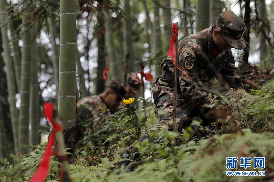 （圖文互動(dòng)）（1）永不遲到的祭奠&mdash;&mdash;追尋1343座無(wú)名紅軍墓背后的故事
