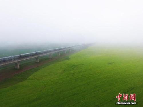 資料圖：動(dòng)車組穿越雨霧中的油菜花海宛若穿越時(shí)空。 楊艷敏 攝