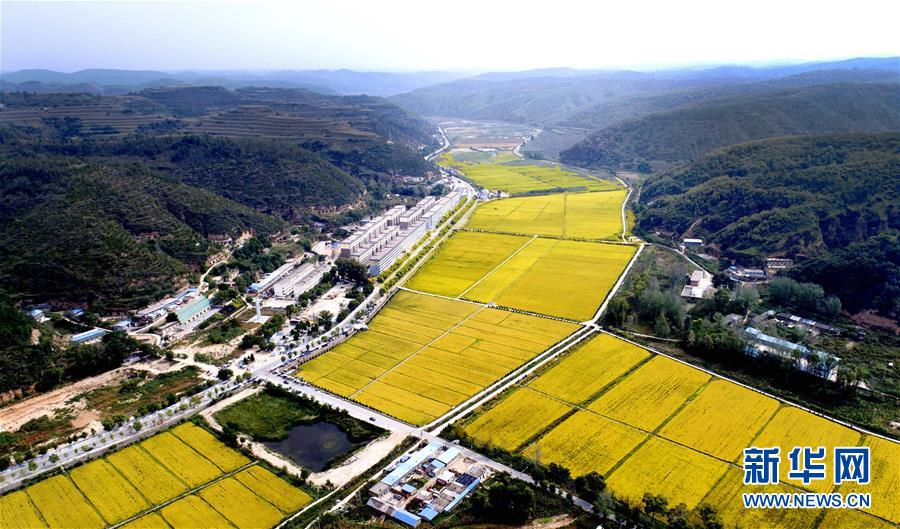 （新華全媒頭條&middot;圖文互動(dòng)）（8）春暉沐浴寶塔山&mdash;&mdash;寫在延安各縣整體脫貧摘帽之際