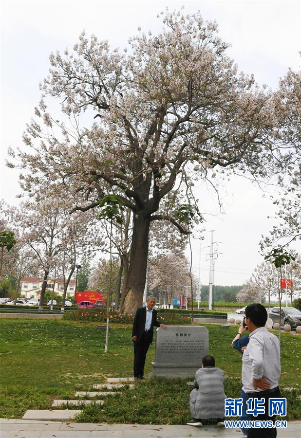 （壯麗70年&middot;奮斗新時代&middot;圖文互動）（6）以改革創(chuàng)新實(shí)現(xiàn)縣域新治&mdash;&mdash;河南蘭考縣域治理樣本觀察