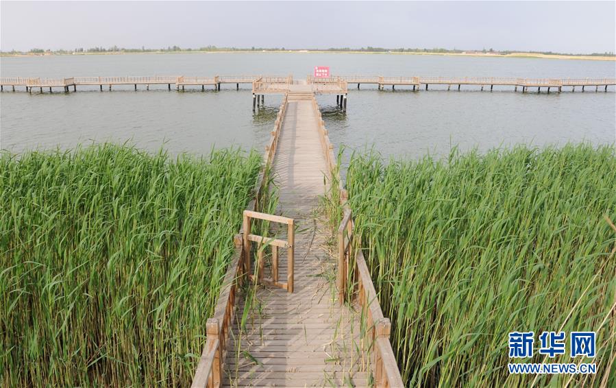 （北京世園會&middot;圖文互動）（5）&ldquo;百湖之鄉(xiāng)&rdquo;磴口縣再現(xiàn)生態(tài)田園風光