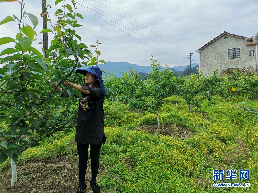 （壯麗70年&middot;奮斗新時(shí)代&middot;圖文互動(dòng)）（1）縣域經(jīng)濟(jì)強(qiáng)縣的&ldquo;扶貧經(jīng)&rdquo;&mdash;&mdash;來(lái)自湖南瀏陽(yáng)市的脫貧攻堅(jiān)調(diào)查