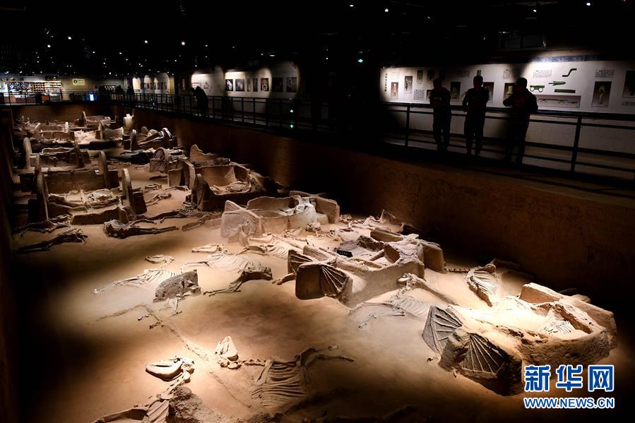 （新華全媒頭條&middot;圖文互動(dòng)）（4）&ldquo;若問古今興廢事，請(qǐng)君只看洛陽城&rdquo;&mdash;&mdash;千年古都&ldquo;烹制&rdquo;博物館盛宴