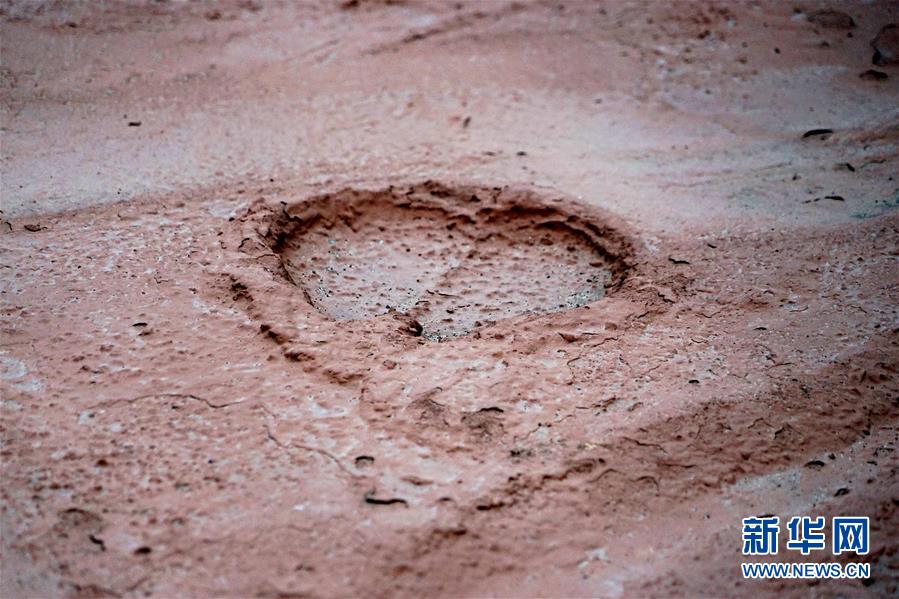 （新華全媒頭條&middot;圖文互動(dòng)）（8）&ldquo;若問(wèn)古今興廢事，請(qǐng)君只看洛陽(yáng)城&rdquo;&mdash;&mdash;千年古都&ldquo;烹制&rdquo;博物館盛宴