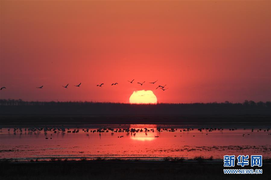 （北京世園會(huì)&middot;圖文互動(dòng)）（3）吉林分區(qū)域推進(jìn)生態(tài)保護(hù) 讓綠色發(fā)展底氣更足