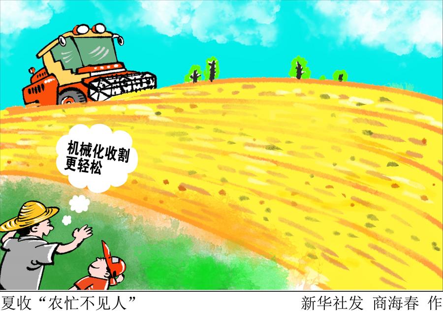 （圖表&middot;漫畫）[新華視點]夏收&ldquo;農忙不見人&rdquo;