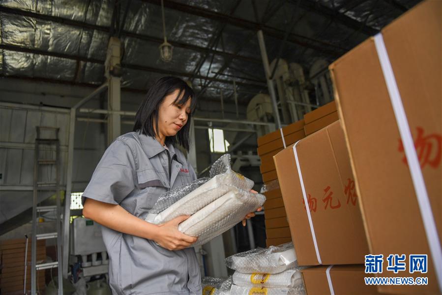 （在習近平新時代中國特色社會主義思想指引下&mdash;&mdash;新時代新作為新篇章&middot;圖文互動）（6）大學生種田讓農(nóng)民&ldquo;老把式&rdquo;開了眼&mdash;&mdash;吉林長白山下的稻田新事