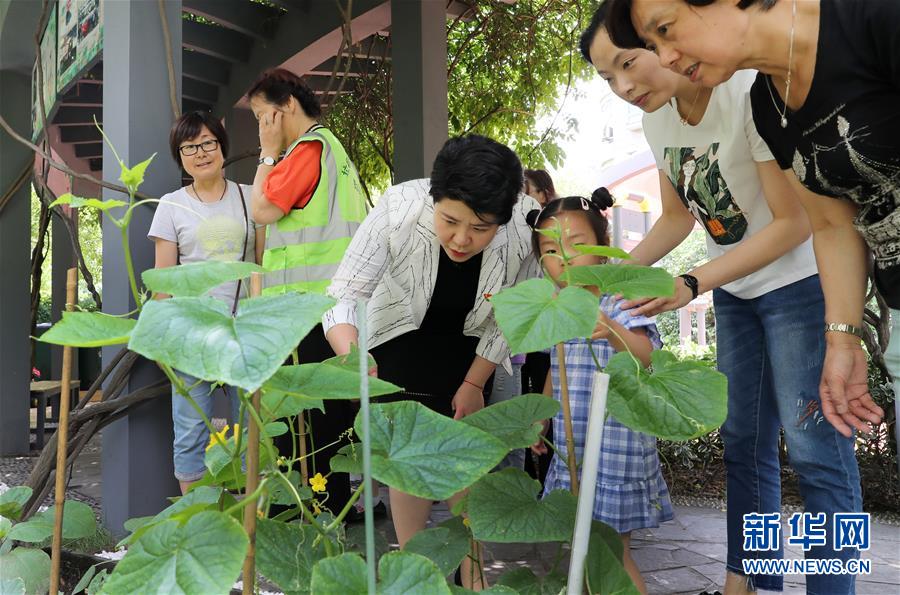 （新華全媒頭條&middot;圖文互動）（4）上海&ldquo;新時(shí)尚&rdquo;：用&ldquo;繡花功&rdquo;解垃圾分類&ldquo;大難題&rdquo;