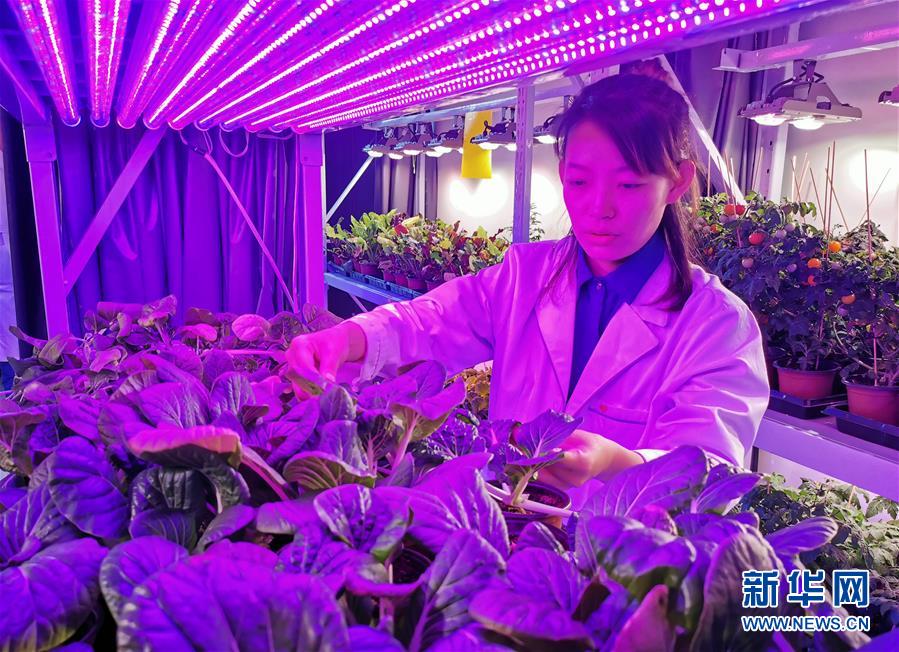 （愛國情 奮斗者&middot;圖文互動）（5）池建義團(tuán)隊(duì)：把論文寫在產(chǎn)品上