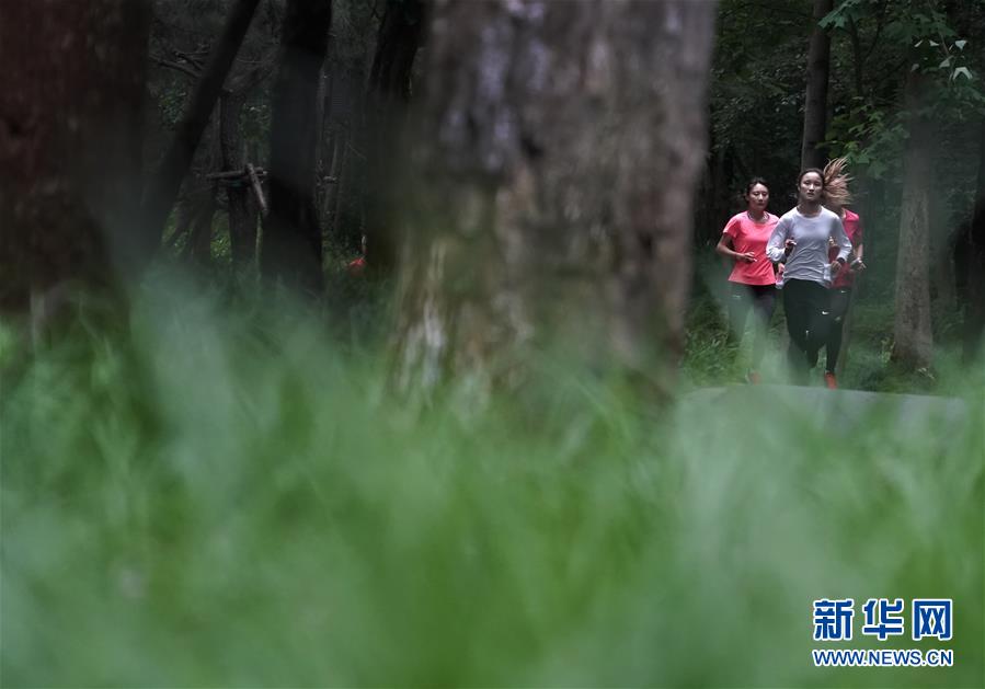 （新華全媒頭條&middot;圖文互動(dòng)）（10）同筑和平 共襄盛會(huì)&mdash;&mdash;寫(xiě)在第七屆世界軍人運(yùn)動(dòng)會(huì)開(kāi)幕倒計(jì)時(shí)100天之際