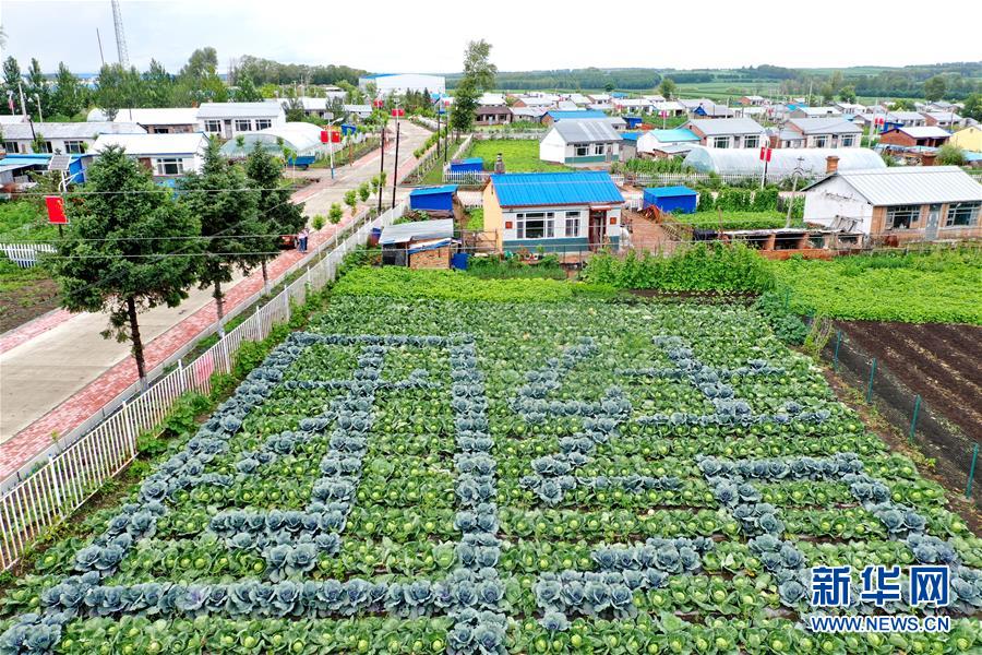 （圖文互動(dòng)）（1）（在習(xí)近平新時(shí)代中國(guó)特色社會(huì)主義思想指引下&mdash;&mdash;新時(shí)代新作為新篇章）&ldquo;團(tuán)結(jié)&rdquo;振興團(tuán)結(jié)村&mdash;&mdash;黑龍江拜泉縣團(tuán)結(jié)村凝聚民心攻堅(jiān)脫貧