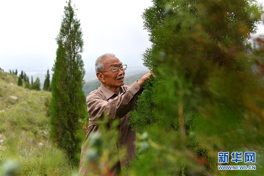 （在習(xí)近平新時(shí)代中國(guó)特色社會(huì)主義思想指引下&mdash;&mdash;新時(shí)代新作為新篇章&middot;圖文互動(dòng)）（5）中條山下綠意濃&mdash;&mdash;一個(gè)&ldquo;資源窮縣&rdquo;的生態(tài)發(fā)展之路