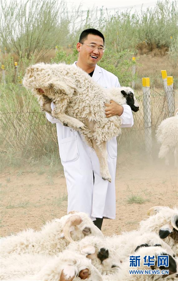 （壯麗70年&middot;奮斗新時(shí)代&mdash;&mdash;共和國(guó)發(fā)展成就巡禮&middot;圖文互動(dòng)）（3）生態(tài)美、百姓富&mdash;&mdash;品讀嶄新&ldquo;寧夏畫(huà)卷&rdquo;