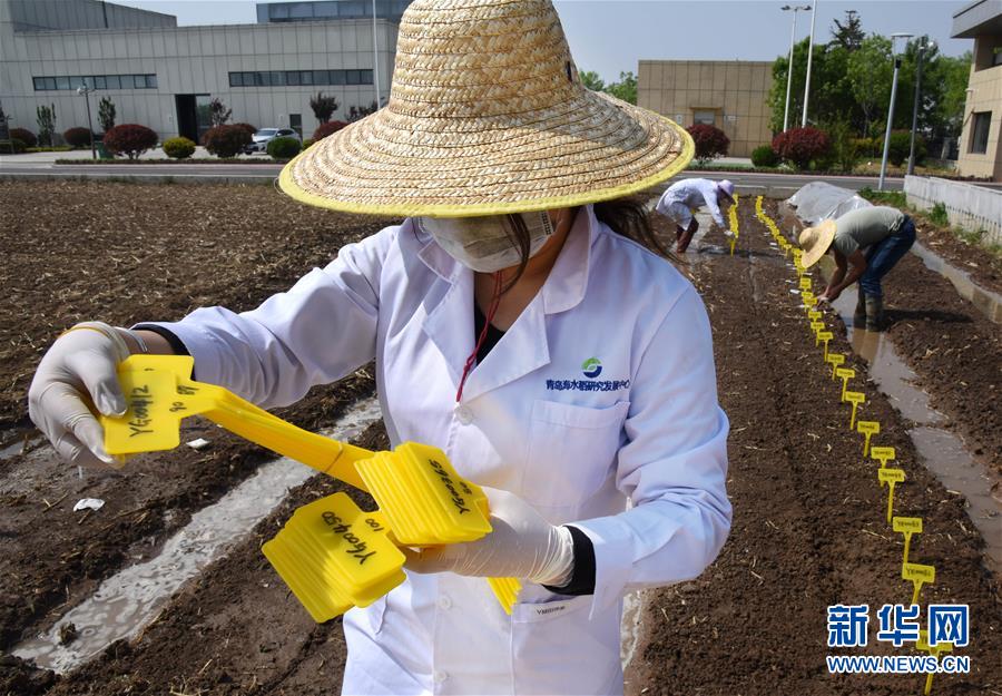 （壯麗70年&middot;奮斗新時(shí)代&mdash;&mdash;共和國(guó)發(fā)展成就巡禮）（10）看今朝齊風(fēng)魯韻　七十載芳華正勁&mdash;&mdash;新中國(guó)成立以來(lái)山東領(lǐng)先發(fā)展紀(jì)實(shí)