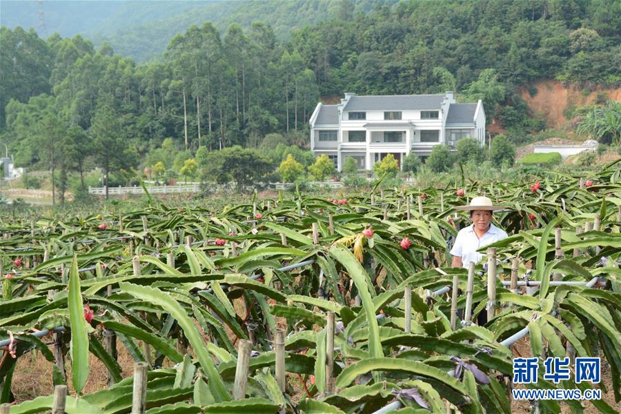 （在習(xí)近平新時代中國特色社會主義思想指引下&mdash;&mdash;新時代新作為新篇章&middot;總書記關(guān)心的百姓身邊事&middot;圖文互動）（6）大污染變身&ldquo;大寶藏&rdquo;：治理畜禽糞污，他們這樣干！