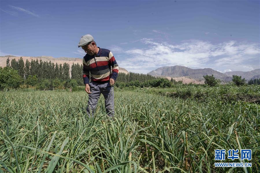 (決戰(zhàn)決勝脫貧攻堅·圖文互動)(6)記者手記:尋訪昆侖“桃花源”的“祛病”良方