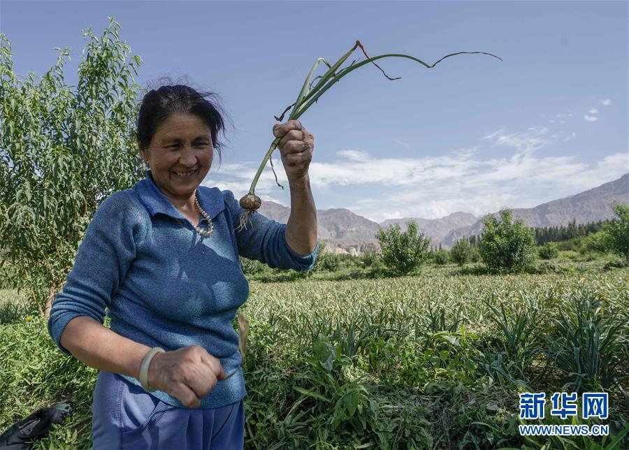 (決戰(zhàn)決勝脫貧攻堅·圖文互動)(1)記者手記:尋訪昆侖“桃花源”的“祛病”良方