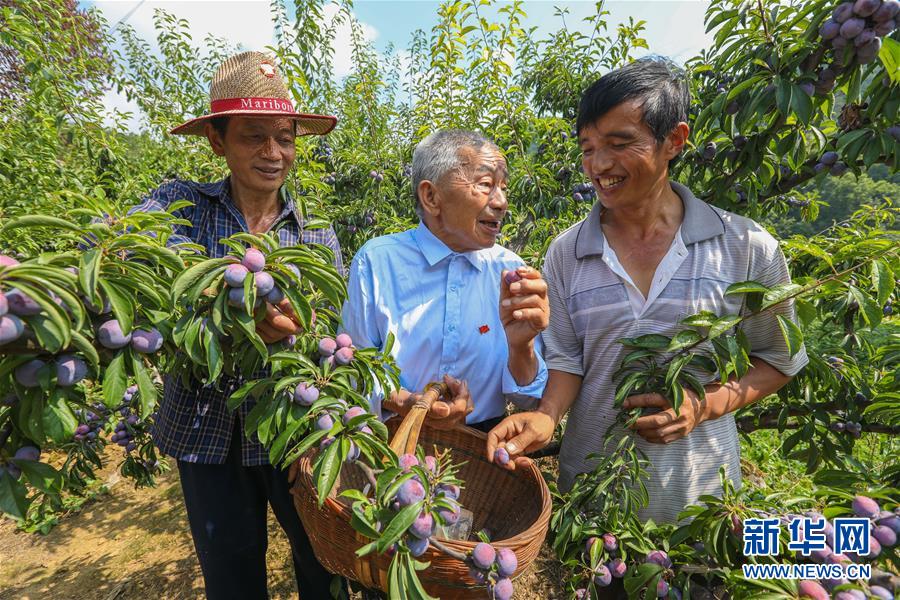 （新華全媒頭條&middot;圖文互動(dòng)）（1）凝聚民族復(fù)興的精神偉力&mdash;&mdash;以習(xí)近平同志為核心的黨中央重視思想道德建設(shè)關(guān)心關(guān)愛道德模范紀(jì)實(shí)
