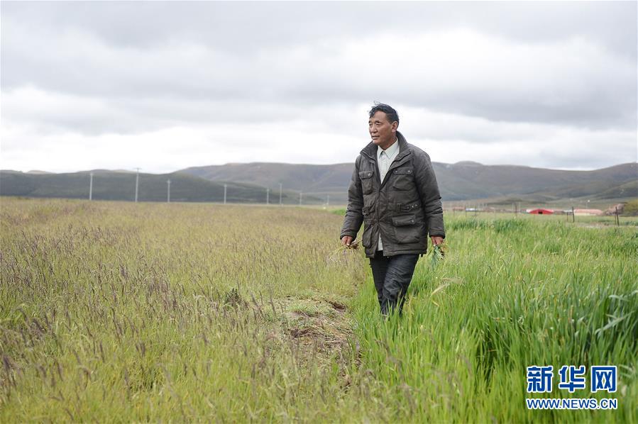 （新華全媒頭條&middot;圖文互動）（8）確保&ldquo;中華水塔&rdquo;碧水東流&mdash;&mdash;中國三江源生態(tài)保護(hù)報(bào)告