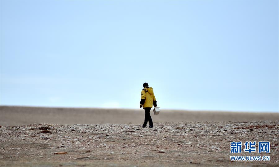 （新華全媒頭條&middot;圖文互動）（9）確保&ldquo;中華水塔&rdquo;碧水東流&mdash;&mdash;中國三江源生態(tài)保護(hù)報(bào)告