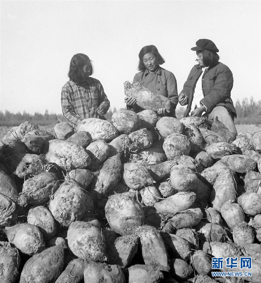 （圖文互動）（2）為了&ldquo;中國號&rdquo;巨輪揚(yáng)帆遠(yuǎn)航&mdash;&mdash;中國共產(chǎn)黨領(lǐng)導(dǎo)下的人民軍隊(duì)忠于祖國、服務(wù)人民啟示錄