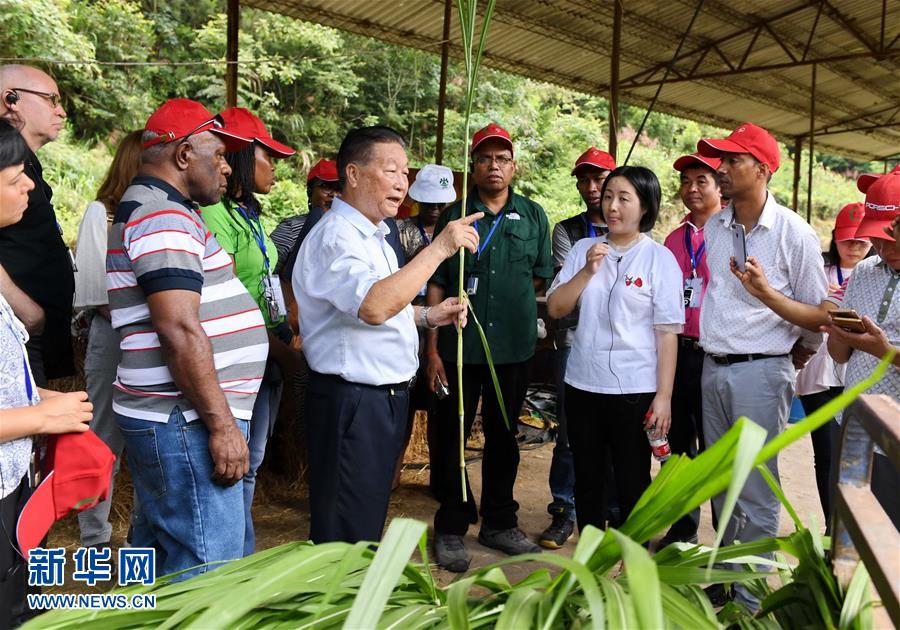 （不忘初心、牢記使命&middot;圖文互動(dòng)）（5）拳拳寸草心 濃濃報(bào)國情&mdash;&mdash;記&ldquo;菌草之父&rdquo;林占熺