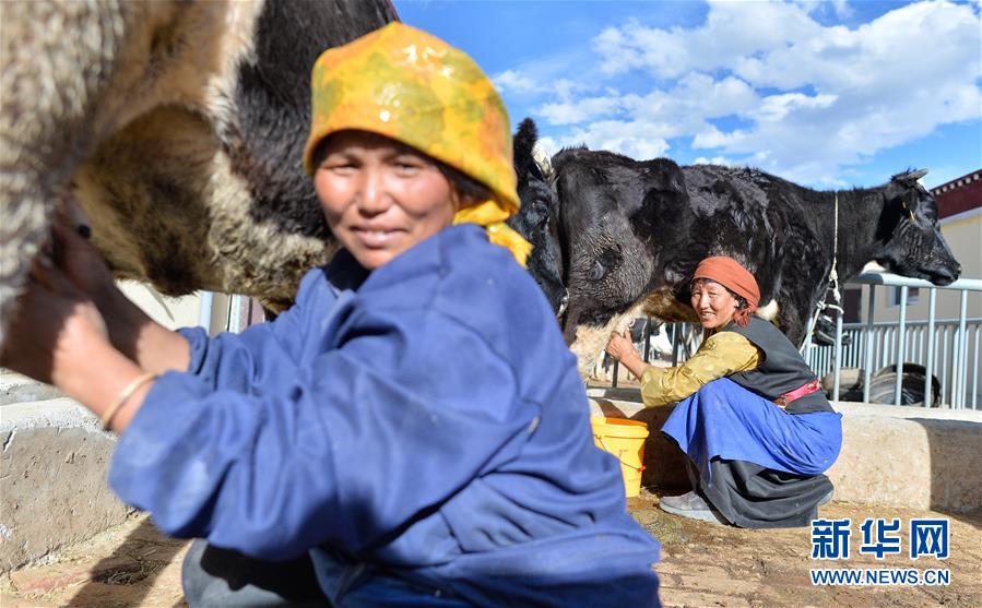 （新華全媒頭條&middot;決戰(zhàn)決勝脫貧攻堅&middot;圖文互動）（3）歷史的決戰(zhàn)　偉大的創(chuàng)舉&mdash;&mdash;&ldquo;世界屋脊&rdquo;上的反貧困奇跡 