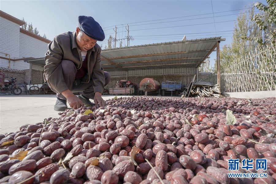 （新華全媒頭條）（1）沙海之邊一片紅&mdash;&mdash;一粒棗和&ldquo;第一大縣&rdquo;的故事