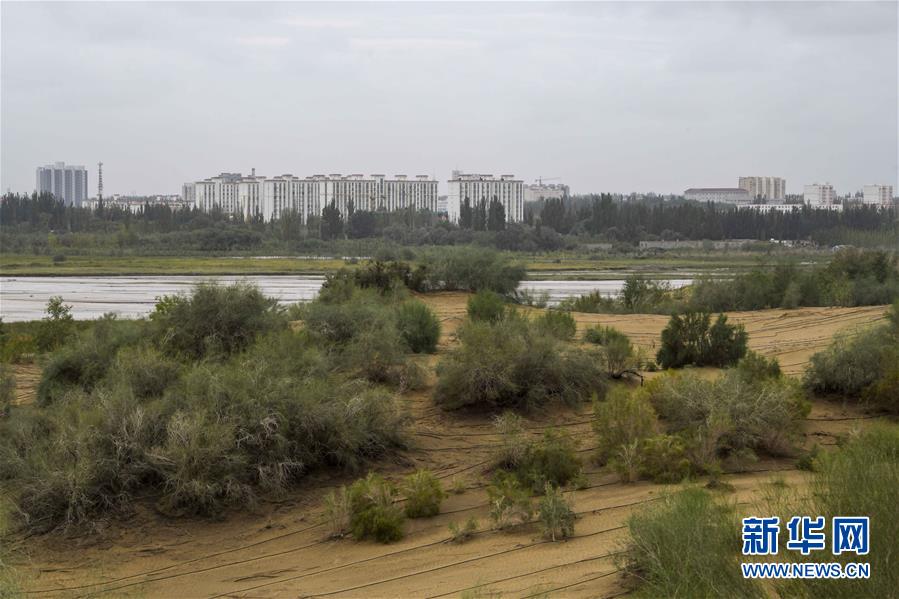 (新華全媒頭條·圖文互動(dòng))(1)大漠小城的絕地反擊