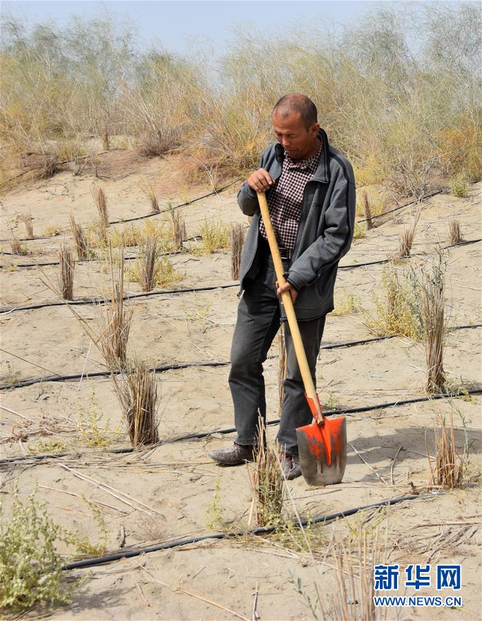 (新華全媒頭條·圖文互動(dòng))(4)大漠小城的絕地反擊