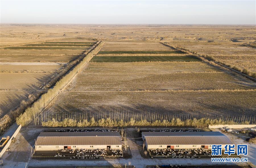 (新華全媒頭條·圖文互動(dòng))(8)大漠小城的絕地反擊