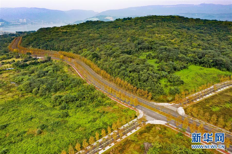 （四中全會精神在基層&middot;圖文互動）（1）一江碧水串起綠色島鏈&mdash;&mdash;重慶江心島&ldquo;生態(tài)留白&rdquo;調(diào)查