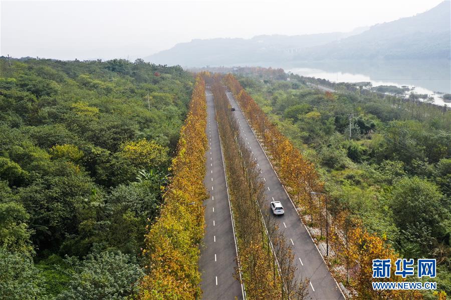 （四中全會精神在基層&middot;圖文互動）（3）一江碧水串起綠色島鏈&mdash;&mdash;重慶江心島&ldquo;生態(tài)留白&rdquo;調(diào)查