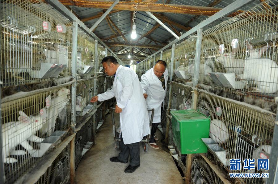 （新華全媒頭條&middot;圖文互動）（4）干部去哪兒了？&mdash;&mdash;貴州干部大規(guī)模下沉脫貧攻堅一線紀實