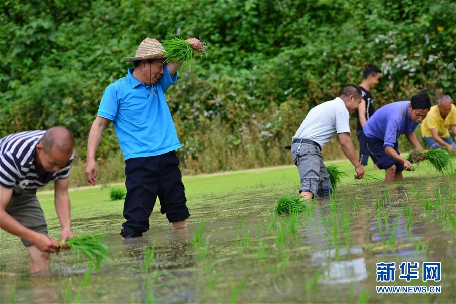 （新華全媒頭條&middot;圖文互動）（8）干部去哪兒了？&mdash;&mdash;貴州干部大規(guī)模下沉脫貧攻堅一線紀實