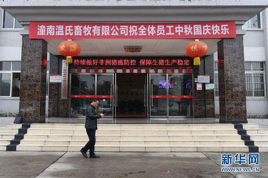 （在習(xí)近平新時(shí)代中國(guó)特色社會(huì)主義思想指引下&mdash;&mdash;新時(shí)代新作為新篇章&middot;總書(shū)記關(guān)切高質(zhì)量發(fā)展&middot;圖文互動(dòng)）（1）穩(wěn)住&ldquo;一頭豬&rdquo;、供好&ldquo;一袋米&rdquo;、配好&ldquo;一籃菜