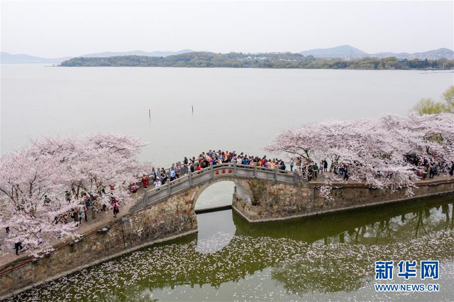 （新華全媒頭條&middot;圖文互動(dòng)）（8）大湖見(jiàn)證&mdash;&mdash;長(zhǎng)三角三大淡水湖綠色發(fā)展之路