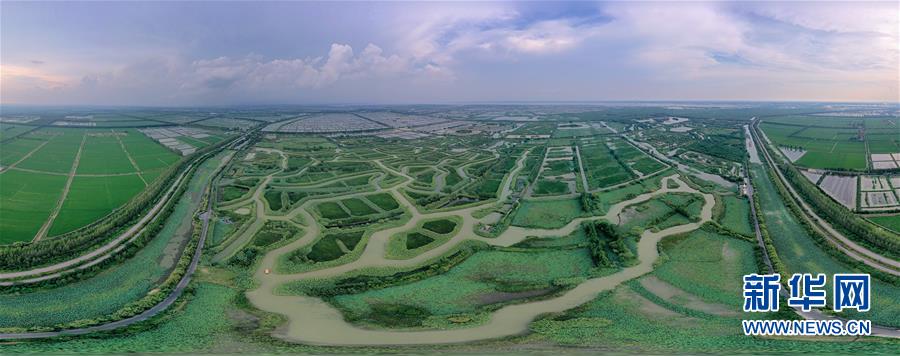 （新華全媒頭條&middot;圖文互動(dòng)）（11）大湖見(jiàn)證&mdash;&mdash;長(zhǎng)三角三大淡水湖綠色發(fā)展之路