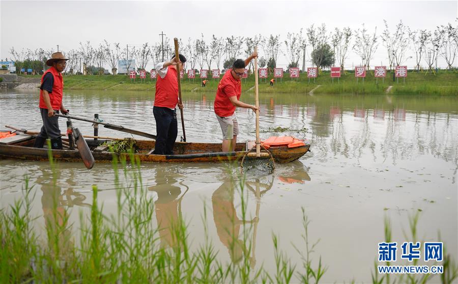 （新華全媒頭條&middot;圖文互動(dòng)）（12）大湖見(jiàn)證&mdash;&mdash;長(zhǎng)三角三大淡水湖綠色發(fā)展之路