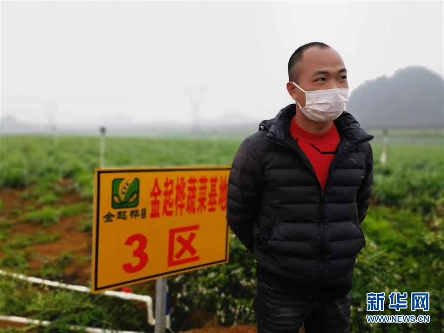 （聚焦疫情防控&middot;圖文互動）（2）&ldquo;得知要送武漢 凌晨出來摘菜&rdquo;&mdash;&mdash;中國&ldquo;南菜園&rdquo;廣西全力抗疫保供應(yīng)
