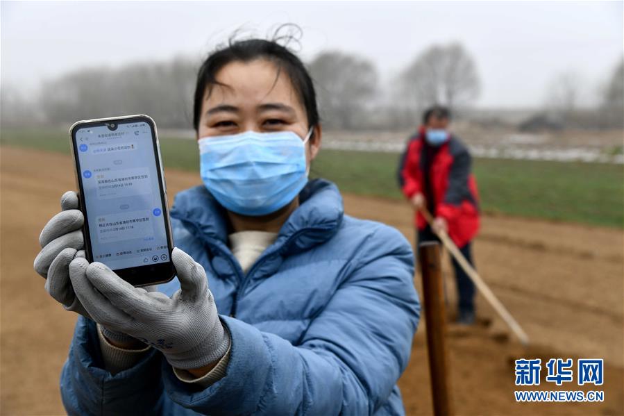 （圖文互動(dòng)）（2）別樣的春耕&mdash;&mdash;來(lái)自農(nóng)業(yè)大省山東的春耕備耕見聞