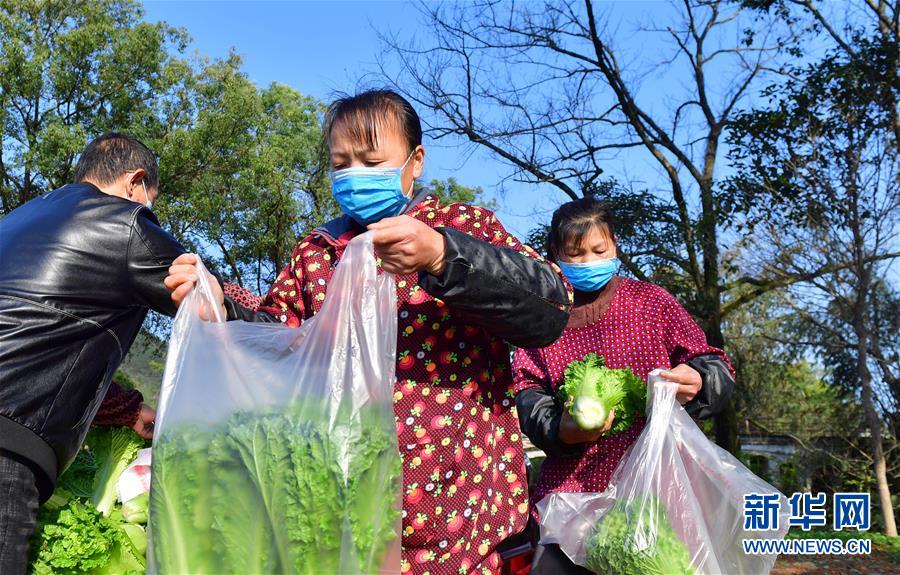 （圖文互動）（6）廣西桂林：&ldquo;借力+接力&rdquo;新鮮蔬菜進(jìn)社區(qū)