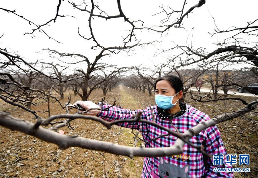 （聚焦疫情防控&middot;圖文互動(dòng)）（3）農(nóng)民工返城：幾多憧憬幾許等待&mdash;&mdash;走進(jìn)疫情下的河北勞務(wù)輸出專(zhuān)業(yè)村